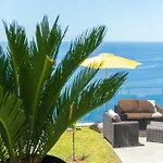 Sonho Do Oceano *